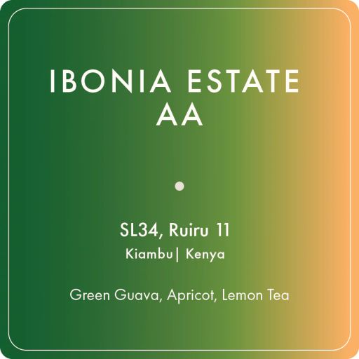 Ibonia Estate