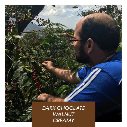 Finca Nejapa, Washed Mamut