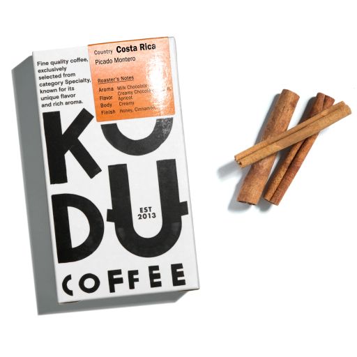 Costa Rica Picado Montero