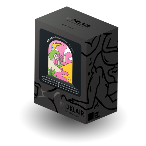 FINCA DEBORAH [NIRVANA]