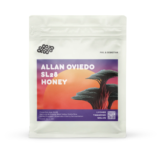 Allan Oviedo SL28 Honey