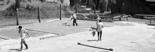 Costa Rica, Natural Typica