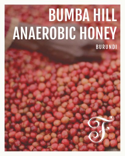 Burundi Bumba Hill Anaerobic Honey