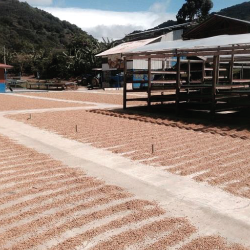 Costa Rica El Vapor Natural