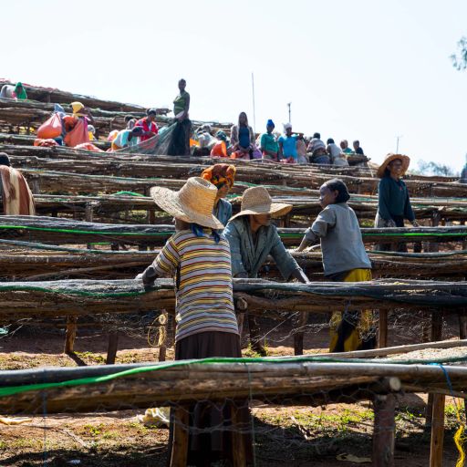 Ethiopia - Worka Cooperative - Kurume
