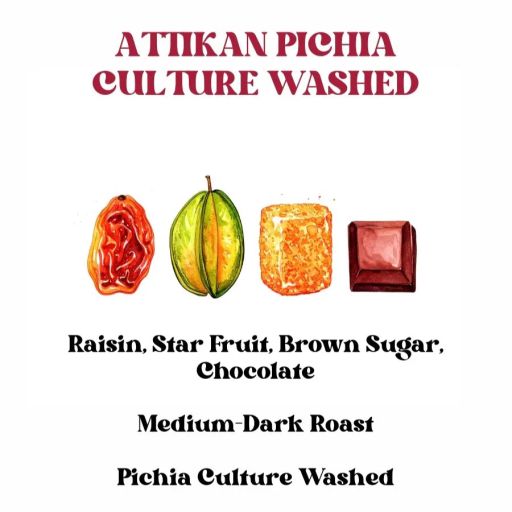 Attikan Pichia Culture Washed (SCA 84+)