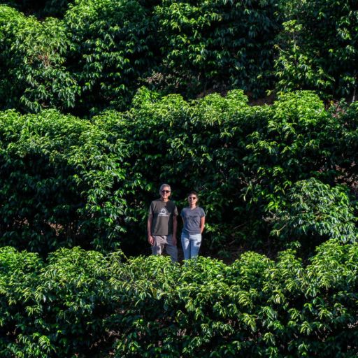 Bolivia - Las Alasitas - Washed Mosto Geisha