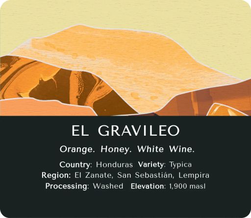 El Gravileo (Washed)- Honduras
