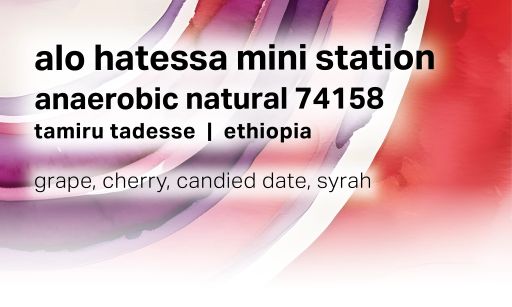 Alo Hatessa Mini Station - Anaerobic Natural 74158 - Ethiopia