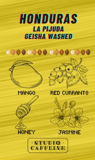 Honduras La Pijuda Geisha Washed