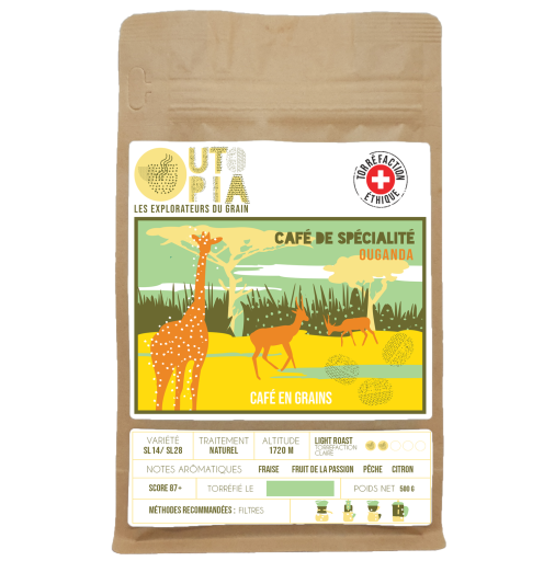 OUGANDA | RWENZORI - FILTRE