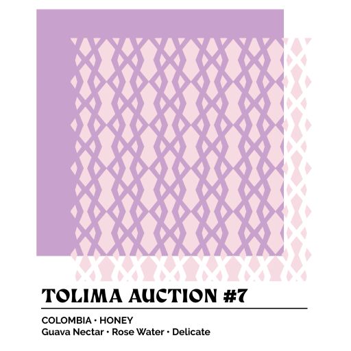Epoch X - Best of Tolima Auction 2024 #7