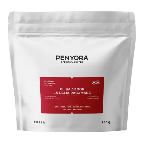 EL SALVADOR LA DALIA 120h anaerobic FILTER