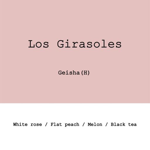 Colombia Los Girasoles Geisha Honey