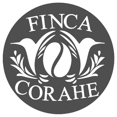 Veracruz Finca Corahe Lavado