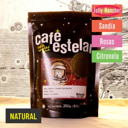 Café Chiapas - Finca Santa Cruz - Gesha - Natural - 0061