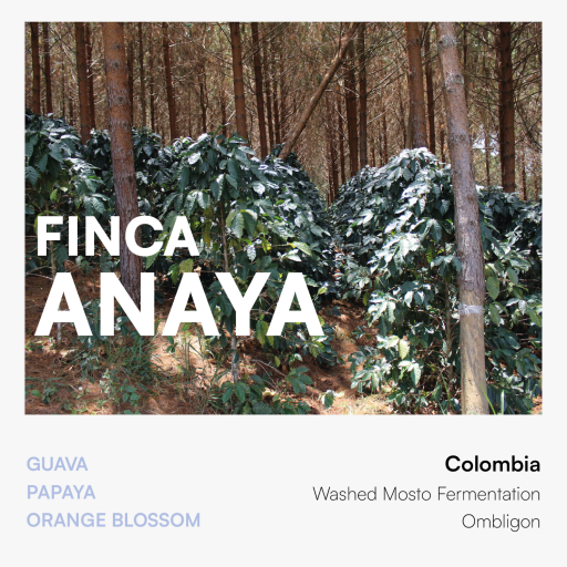 Finca Anaya