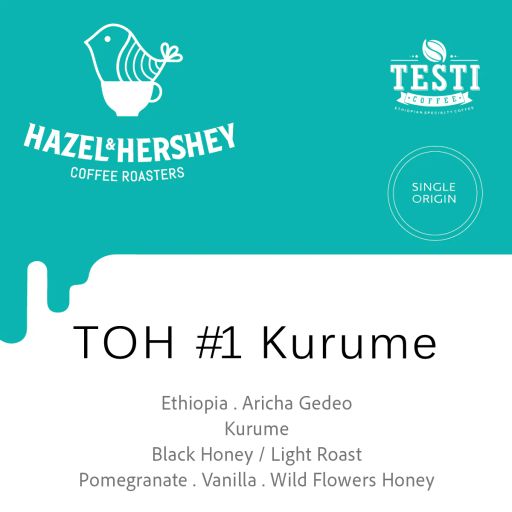 Ethiopia TOH #1 Kurume Black Honey