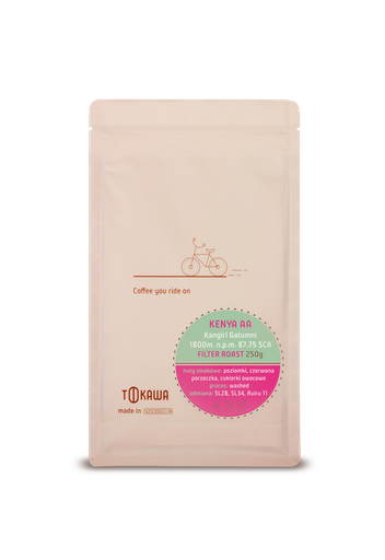 Kenya AA Kangiri filtr