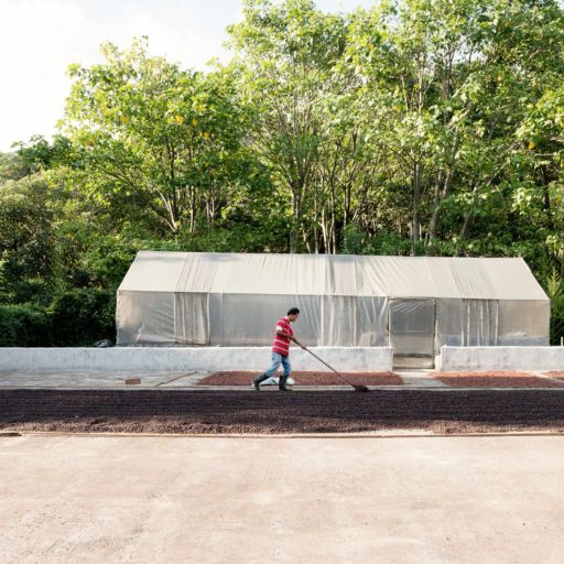 Costa Rica - Hacienda Sonora - Bourbon Natural