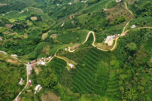 Colombia Chapata Natural