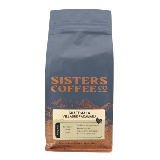 Guatemala Villaure Pacamara Washed