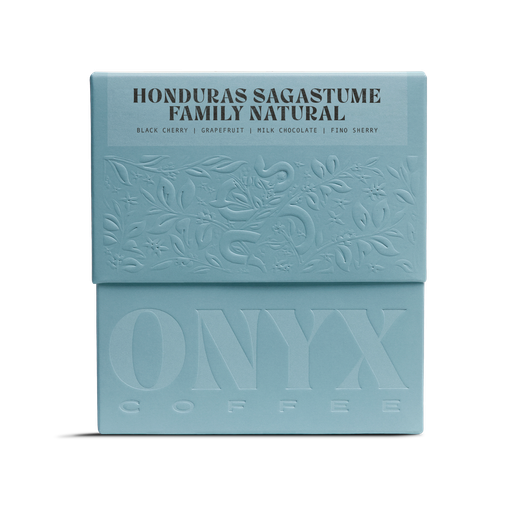 Honduras Sagastume Family Natural