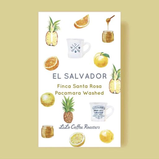 EL SALVADOR Finca Santa Rosa Pacamara Washed