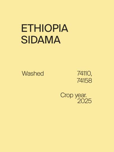 Ethiopia Sidama G2 74110, 74158 Washed