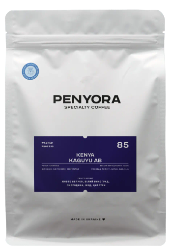 Kenya Kaguyu AB Filter