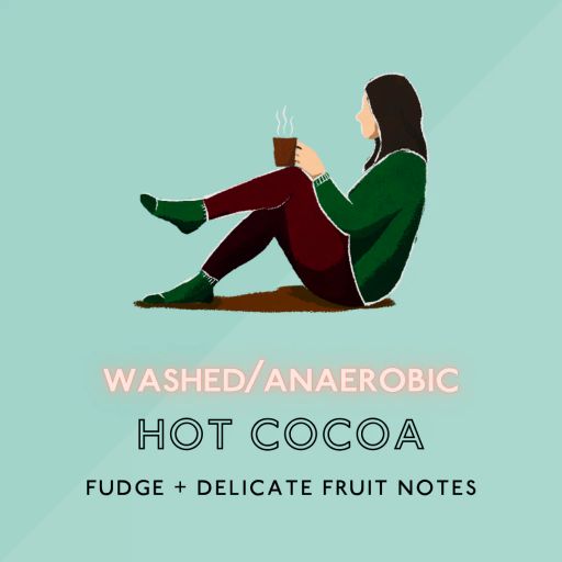 Hot Cocoa: Medium Roast