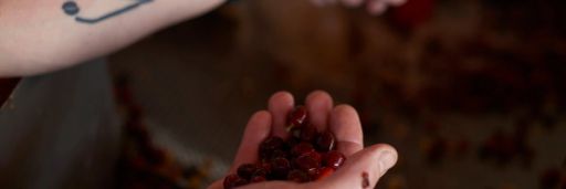 #37 Costa Rica, Anaerobe San Isidro