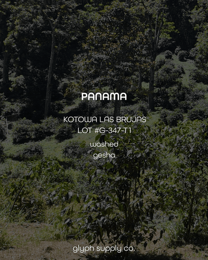 Kotowa Las Brujas Lot #G-347-T1