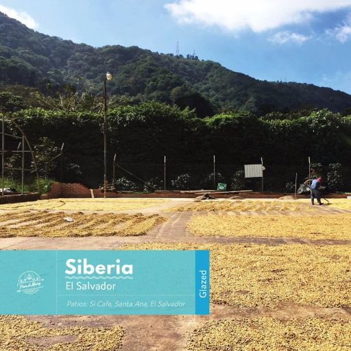 El Salvador Siberia Red Bourbon Glazed Espresso
