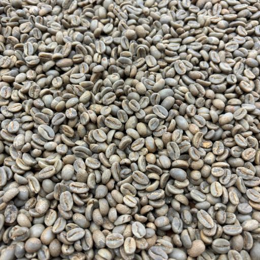 COE Peru #21 La Lima - Anaerobic Washed Geisha