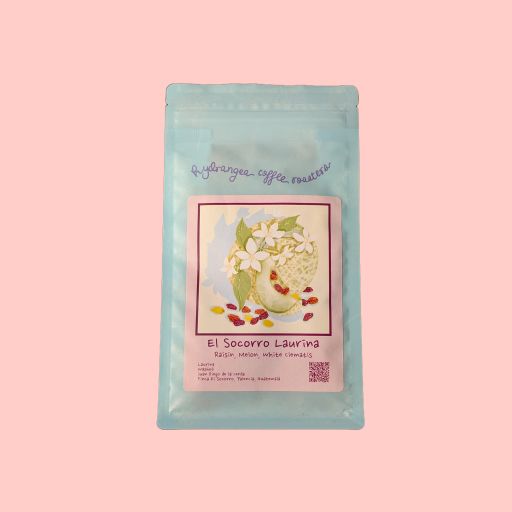 Laurina Washed, Finca El Socorro