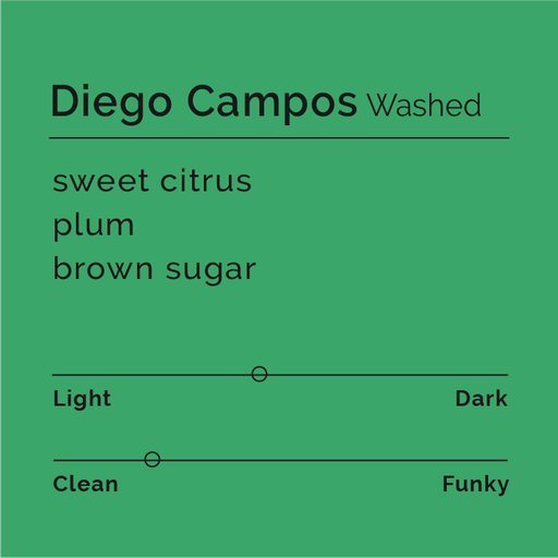 Diego Campos - Washed