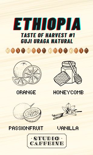 Ethiopia Taste of Harvest #1 Guji Uraga Natural