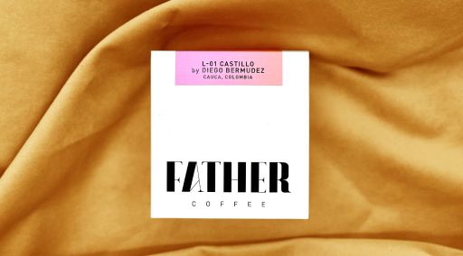 L-01 Castillo by Diego Bermudez