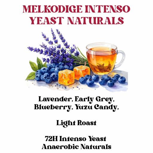 Melkodige Intenso Yeast Naturals Light Roast (SCA 87+)