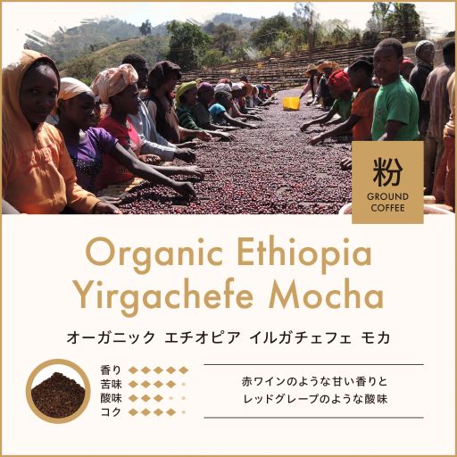 オーガニック エチオピア イルガチェフェ モカ