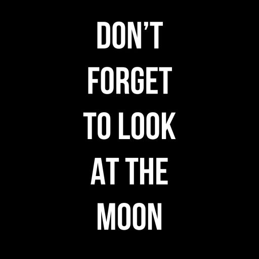 Don't Forget to Look at the Moon