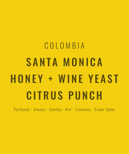 Colombia – Santa Monica Honey + Wine Yeast / Citrus Punch