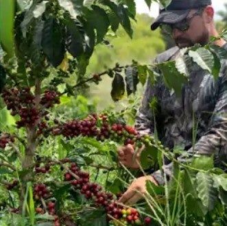 Colombia Campo Hermoso Edwin Noreña Black Honey Enigma Hops & Yeast Mossto Cofermented Sudan Rume