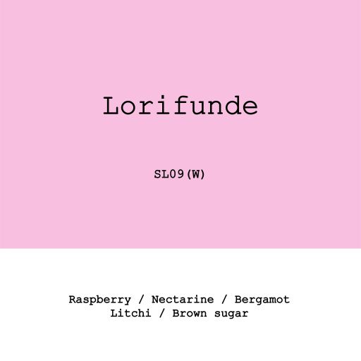 Peru Lorifunde SL09 Washed