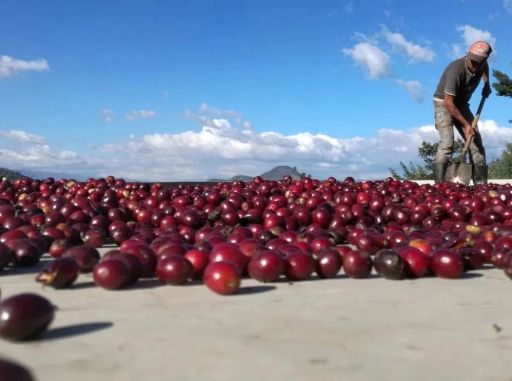 Antonio Gonzales La Nueva Montaña