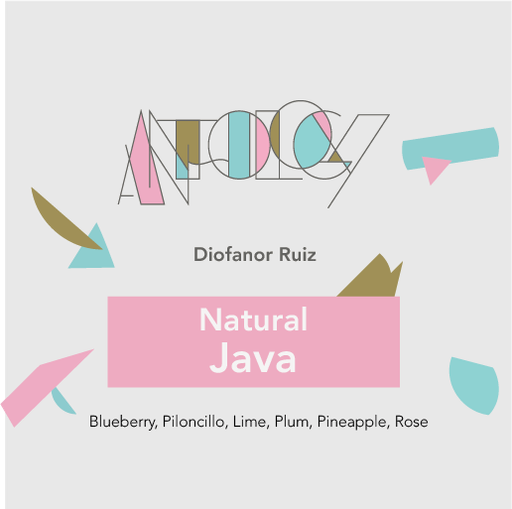 Java – Natural: Diofanor Ruiz