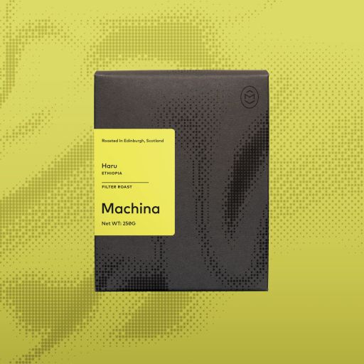 Haru, Ethiopia - Filter