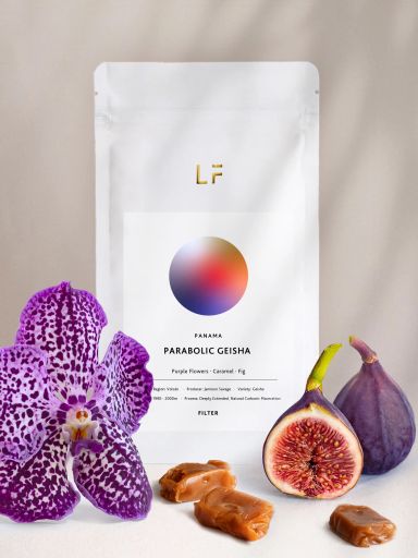 Parabolic Geisha · Jamison Savage