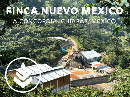 FINCA NUEVO MEXICO